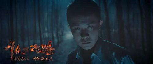 午夜惊魂路,探寻神秘事件的惊悚真相