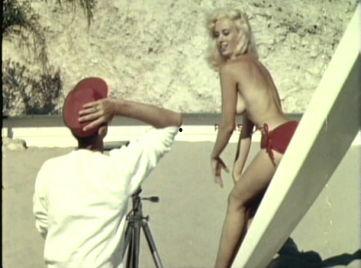 蒂斯先生的邪念,一场禁忌的邪念之旅